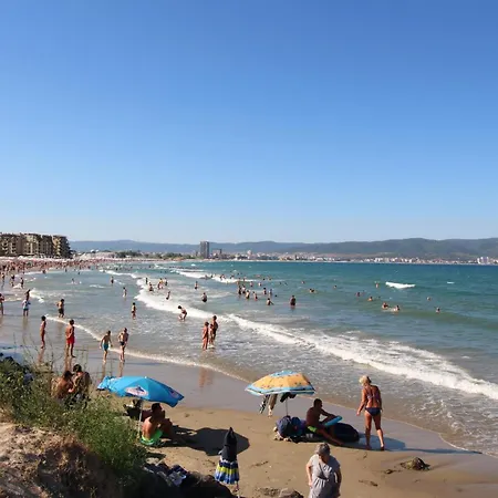 Vip Vision 409 Sunny * סאני ביץ'